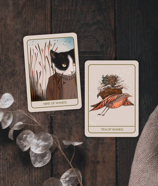 Orenda Tarot, New Deck Launch, 2024 - Water Moon Shop