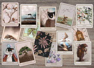 Orenda Tarot, New Deck Launch, 2024 - Water Moon Shop