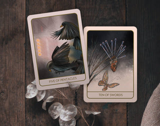 Orenda Tarot, New Deck Launch, 2024 - Water Moon Shop