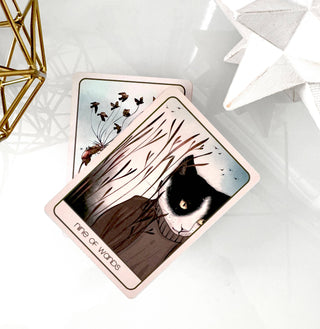 Orenda Tarot, New Deck Launch, 2024 - Water Moon Shop