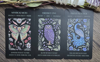 Wild Whiskers Oracle Deck - Spirit Animal Oracle Cards - Water Moon Shop