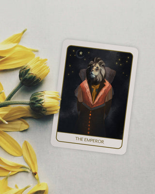 Orenda Tarot, New Deck Launch, 2024 - Water Moon Shop