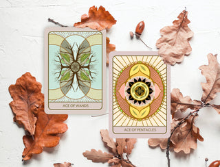 Orenda Tarot, New Deck Launch, 2024 - Water Moon Shop